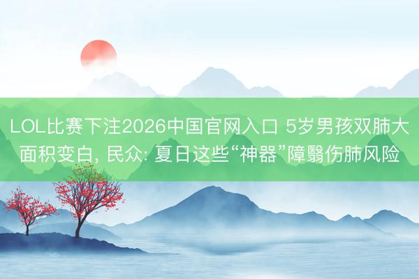 LOL比赛下注2026中国官网入口 5岁男孩双肺大面积变白， 民众: 夏日这些“神器”障翳伤肺风险